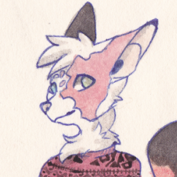 SweaterCat