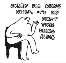 Glupy_Motilek