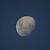 moon d