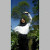 Cantika Pratiwi