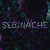 sebinache