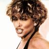 Tina Turner lyrics