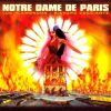 Notre-Dame de Paris (Musical) στίχοι