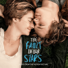 The Fault in Our Stars (OST)