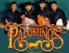 Los Palominos lyrics