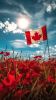 Canadian Patriotic Songs